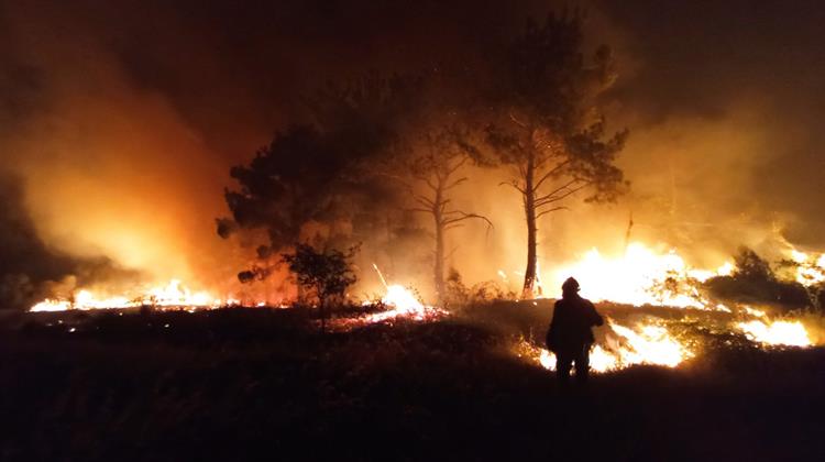 Τα Eρωτήματα που “Kαίνε” τη Δαδιά
